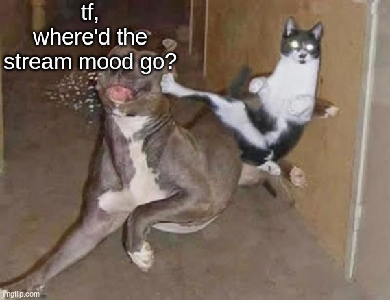 get rekt (announcement version) | tf, where'd the stream mood go? | image tagged in get rekt announcement version | made w/ Imgflip meme maker