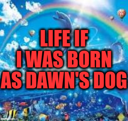 . | LIFE IF I WAS BORN AS DAWN'S DOG | image tagged in how life feels when | made w/ Imgflip meme maker