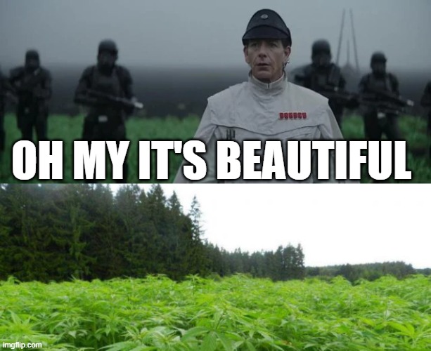 What Galen Erso was Growing | OH MY IT'S BEAUTIFUL | image tagged in weed policedog | made w/ Imgflip meme maker