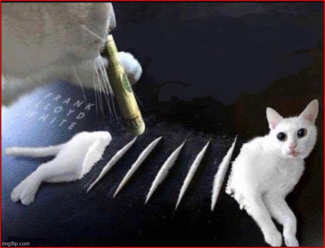 CatCaine | image tagged in catcaine | made w/ Imgflip meme maker