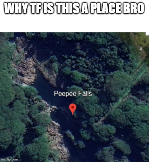 WHY TF IS THIS A PLACE BRO | image tagged in wtf | made w/ Imgflip meme maker