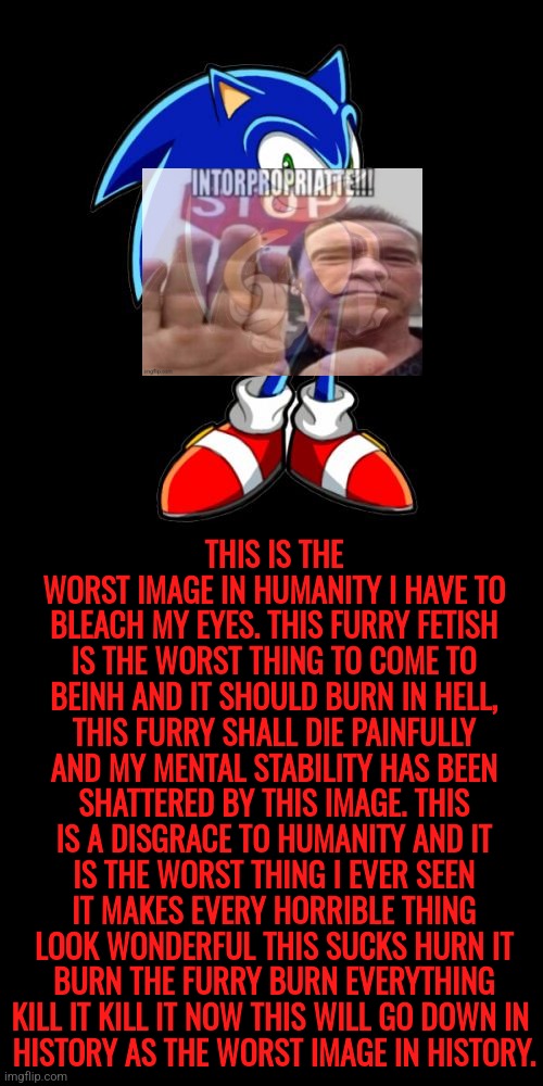 #obvious-ragebait | THIS IS THE WORST IMAGE IN HUMANITY I HAVE TO BLEACH MY EYES. THIS FURRY FETISH IS THE WORST THING TO COME TO BEINH AND IT SHOULD BURN IN HELL, THIS FURRY SHALL DIE PAINFULLY AND MY MENTAL STABILITY HAS BEEN SHATTERED BY THIS IMAGE. THIS IS A DISGRACE TO HUMANITY AND IT IS THE WORST THING I EVER SEEN IT MAKES EVERY HORRIBLE THING LOOK WONDERFUL THIS SUCKS HURN IT BURN THE FURRY BURN EVERYTHING KILL IT KILL IT NOW THIS WILL GO DOWN IN 
HISTORY AS THE WORST IMAGE IN HISTORY. | image tagged in memes,you're too slow sonic | made w/ Imgflip meme maker