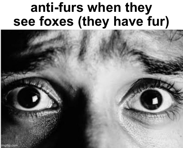 Unnerved Stare | anti-furs when they see foxes (they have fur) | image tagged in unnerved stare | made w/ Imgflip meme maker