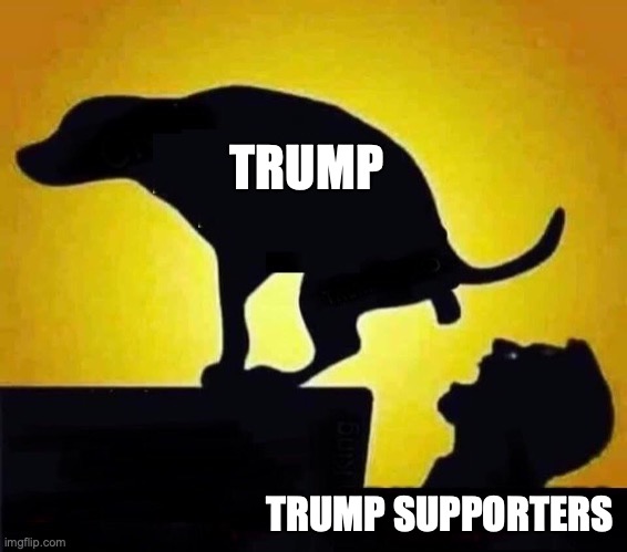 Trump & Trump Supporters | TRUMP; TRUMP SUPPORTERS | image tagged in donald trump,maga,republicans,conservatives,right wing | made w/ Imgflip meme maker