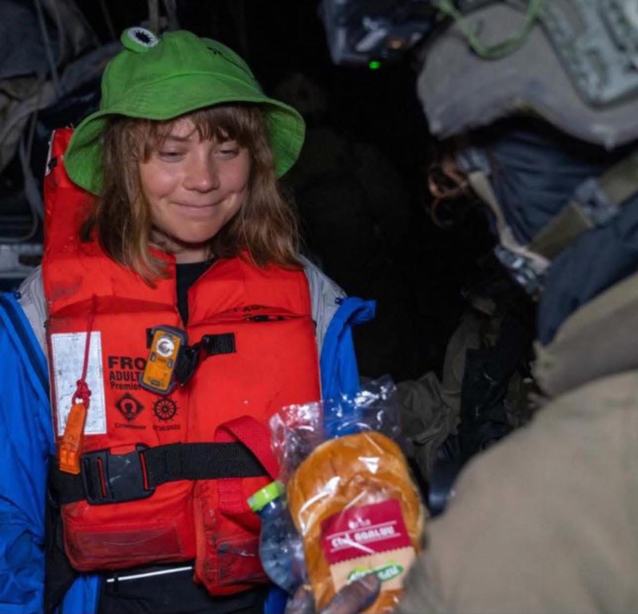 greta handed sandwich Blank Meme Template
