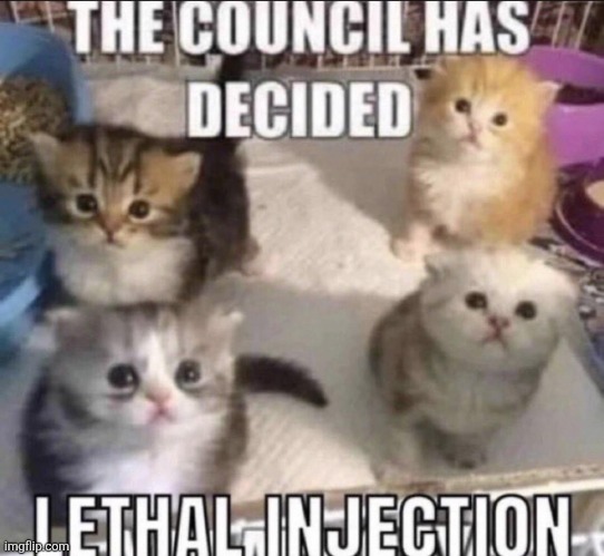 image tagged in the council has decided lethal injection | made w/ Imgflip meme maker