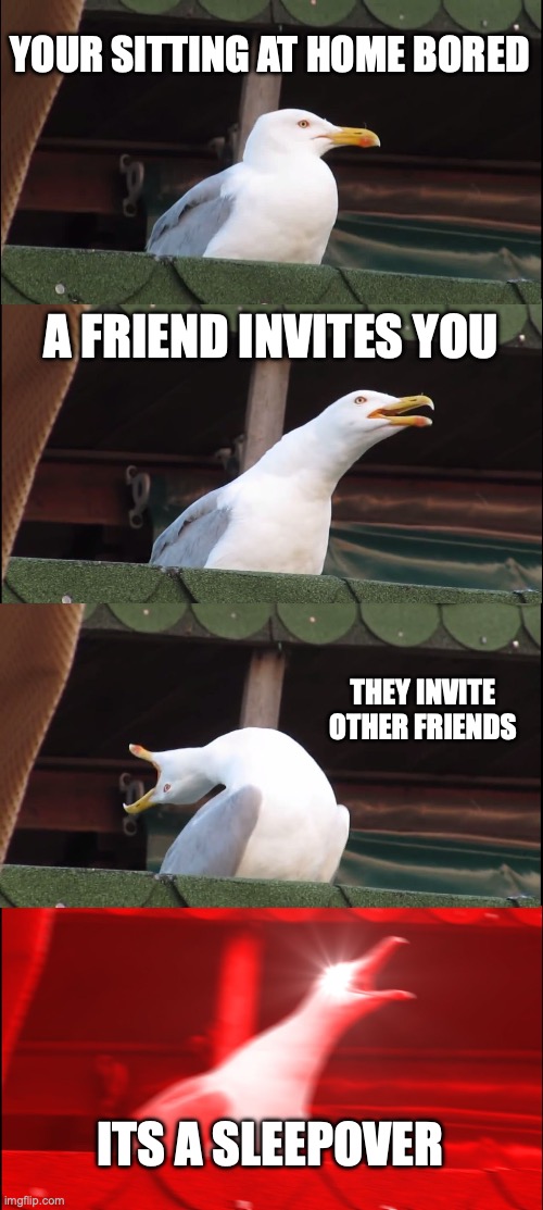 Inhaling Seagull Meme | YOUR SITTING AT HOME BORED; A FRIEND INVITES YOU; THEY INVITE OTHER FRIENDS; ITS A SLEEPOVER | image tagged in memes,inhaling seagull | made w/ Imgflip meme maker