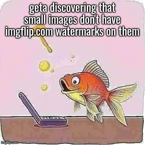 Goldfish cheering at flip phone | geta discovering that small images don't have imgflip.com watermarks on them | image tagged in goldfish cheering at flip phone | made w/ Imgflip meme maker
