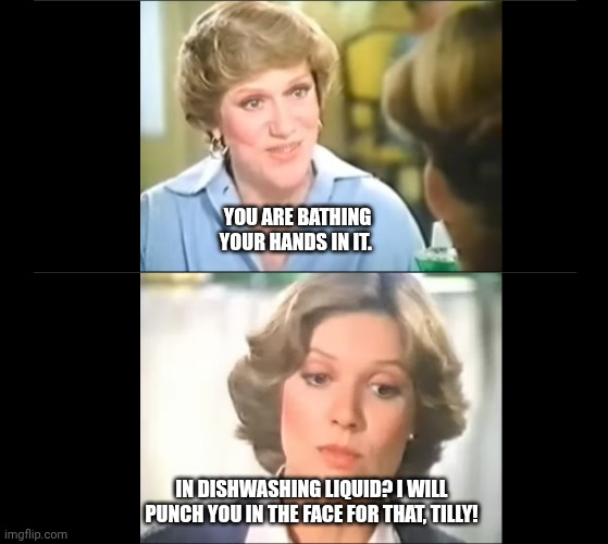 Going to wipe that cheeky grin off Tilly's face | YOU ARE BATHING YOUR HANDS IN IT. IN DISHWASHING LIQUID? I WILL PUNCH YOU IN THE FACE FOR THAT, TILLY! | image tagged in tilly and customer | made w/ Imgflip meme maker