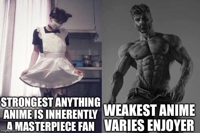 Strongest Fan VS Weakest Fan | STRONGEST ANYTHING ANIME IS INHERENTLY A MASTERPIECE FAN; WEAKEST ANIME VARIES ENJOYER | image tagged in strongest fan vs weakest fan,anime | made w/ Imgflip meme maker