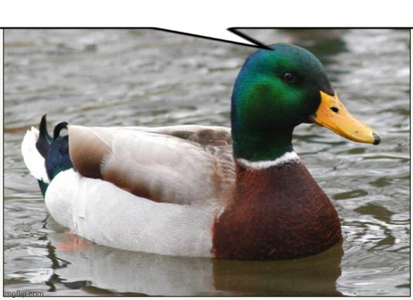 Actual Advice Mallard Meme | image tagged in memes,actual advice mallard | made w/ Imgflip meme maker
