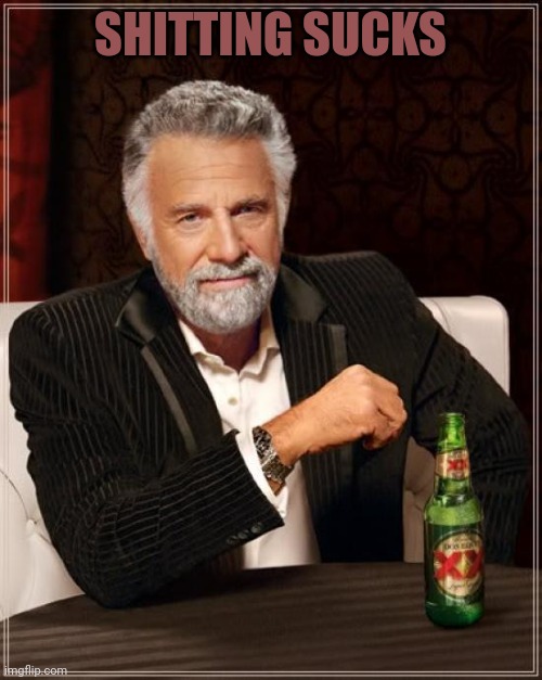 The Most Interesting Man In The World | SHITTING SUCKS | image tagged in memes,the most interesting man in the world | made w/ Imgflip meme maker