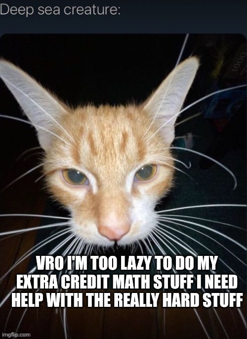 VRO I'M TOO LAZY TO DO MY EXTRA CREDIT MATH STUFF I NEED HELP WITH THE REALLY HARD STUFF | made w/ Imgflip meme maker