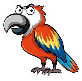Parrot Blank Meme Template