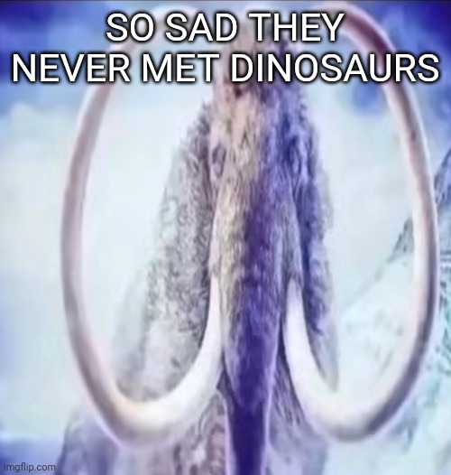 Mammoth | SO SAD THEY NEVER MET DINOSAURS | image tagged in mammoth | made w/ Imgflip meme maker