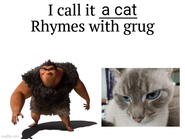 Rhymes with Grug - Mocha.mp3 | a cat | image tagged in i call it _____,mocha,cats | made w/ Imgflip meme maker