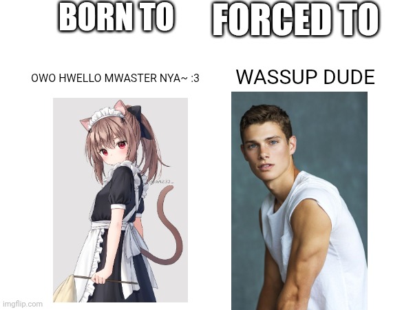 Born to Forced to Catgirl Edition | BORN TO; FORCED TO; OWO HWELLO MWASTER NYA~ :3; WASSUP DUDE | image tagged in blank white template | made w/ Imgflip meme maker