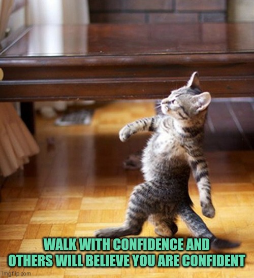 Walk with confidence and people will believe you are confident | WALK WITH CONFIDENCE AND OTHERS WILL BELIEVE YOU ARE CONFIDENT | image tagged in confidence | made w/ Imgflip meme maker