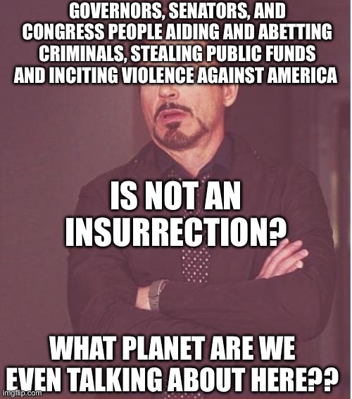 Face You Make Robert Downey Jr Meme | GOVERNORS, SENATORS, AND CONGRESS PEOPLE AIDING AND ABETTING CRIMINALS, STEALING PUBLIC FUNDS AND INCITING VIOLENCE AGAINST AMERICA IS NOT A | image tagged in memes,face you make robert downey jr | made w/ Imgflip meme maker