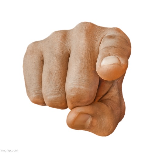 YOU finger | image tagged in you finger | made w/ Imgflip meme maker