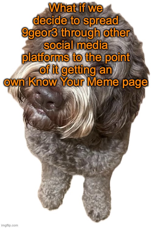 This might be either a great or a terrible idea | What if we decide to spread 9geor3 through other social media platforms to the point of it getting an own Know Your Meme page | image tagged in norther's dog | made w/ Imgflip meme maker