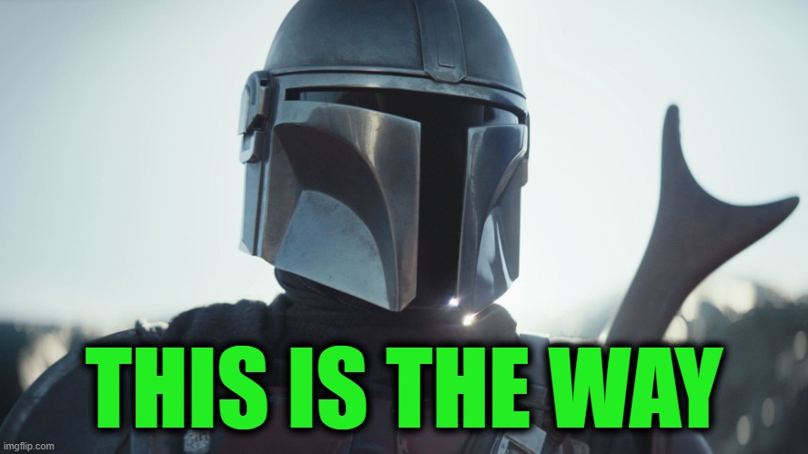 The Mandalorian. | THIS IS THE WAY | image tagged in the mandalorian | made w/ Imgflip meme maker