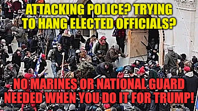 MAGA riot | ATTACKING POLICE? TRYING TO HANG ELECTED OFFICIALS? NO MARINES OR NATIONAL GUARD NEEDED WHEN YOU DO IT FOR TRUMP! | image tagged in maga riot | made w/ Imgflip meme maker