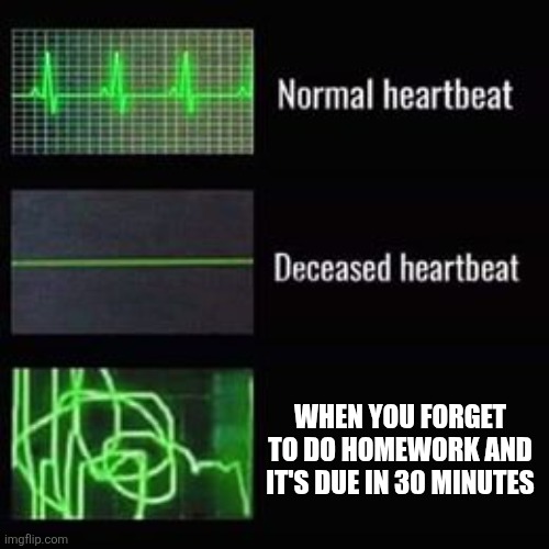 Speaking of homework, school as of today is starting in 14 days wish my good luck | WHEN YOU FORGET TO DO HOMEWORK AND IT'S DUE IN 30 MINUTES | image tagged in heartbeat rate | made w/ Imgflip meme maker