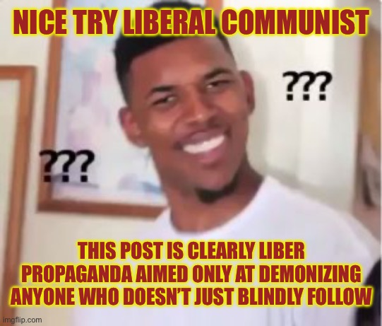 Nick Young | NICE TRY LIBERAL COMMUNIST THIS POST IS CLEARLY LIBER PROPAGANDA AIMED ONLY AT DEMONIZING ANYONE WHO DOESN’T JUST BLINDLY FOLLOW | image tagged in nick young | made w/ Imgflip meme maker