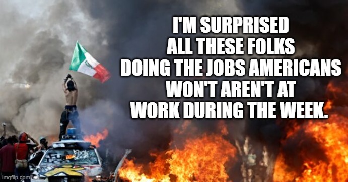 riot at work | I'M SURPRISED ALL THESE FOLKS DOING THE JOBS AMERICANS WON'T AREN'T AT WORK DURING THE WEEK. | image tagged in riot at work | made w/ Imgflip meme maker