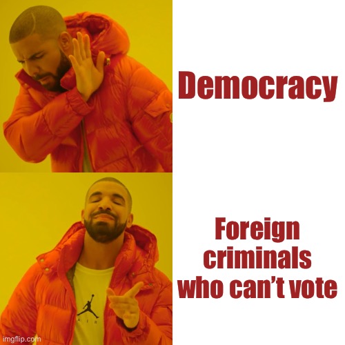 Drake Hotline Bling Meme | Democracy Foreign criminals who can’t vote | image tagged in memes,drake hotline bling | made w/ Imgflip meme maker