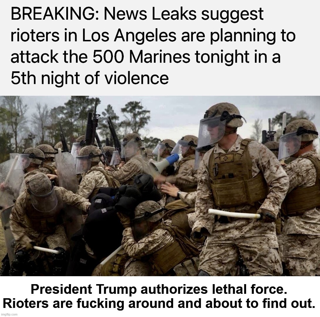 Rioters are fucking around and about to find out. | image tagged in los angeles riots,fuck around and find out,lethal force,lethal weapon,radical left,radical islam | made w/ Imgflip meme maker