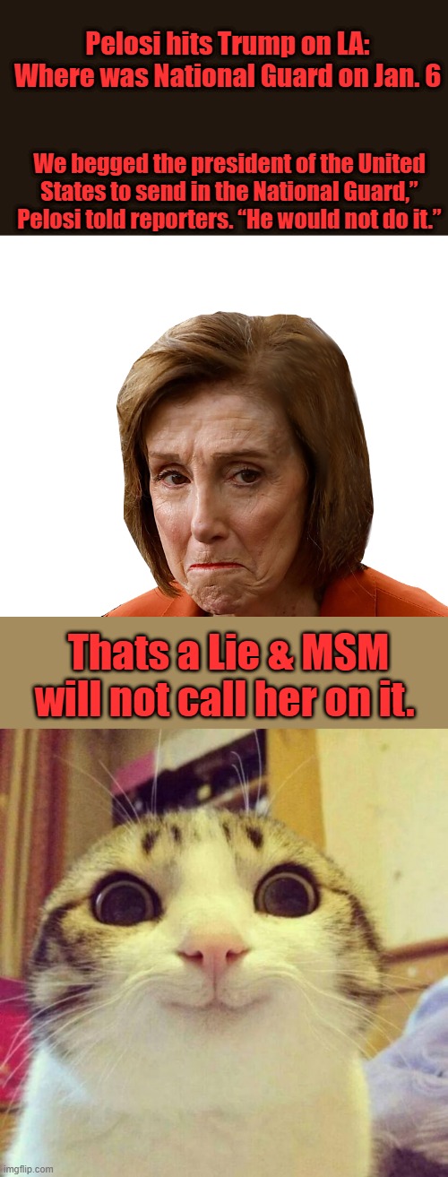 Pelosi hits Trump on LA: Where was National Guard on Jan. 6; We begged the president of the United States to send in the National Guard,” Pelosi told reporters. “He would not do it.”; Thats a Lie & MSM will not call her on it. | image tagged in pelosi prison bound,memes,smiling cat | made w/ Imgflip meme maker