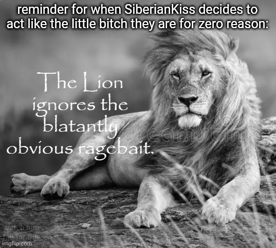 now we wait | reminder for when SiberianKiss decides to act like the little bitch they are for zero reason:; watch him fall for this | image tagged in the lion ignores the blatantly obvious ragebait | made w/ Imgflip meme maker