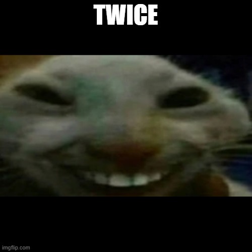 Creepy Cat | TWICE | image tagged in creepy cat | made w/ Imgflip meme maker