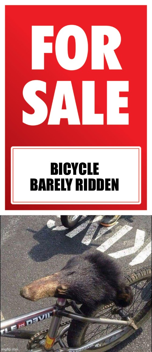 Bike for sale | BICYCLE

BARELY RIDDEN | image tagged in for sale,bicycle | made w/ Imgflip meme maker