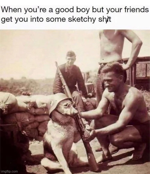 Good boy | image tagged in good | made w/ Imgflip meme maker