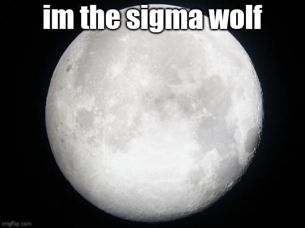 Full Moon | im the sigma wolf | image tagged in full moon | made w/ Imgflip meme maker