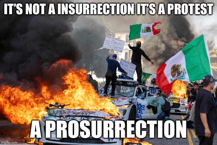 Trump firebombs alien children | IT’S NOT A INSURRECTION IT’S A PROTEST; A PROSURRECTION | image tagged in la riot 2025,memes,funny,trump | made w/ Imgflip meme maker