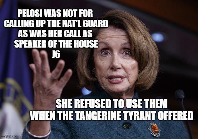 Good old Nancy Pelosi | PELOSI WAS NOT FOR 
CALLING UP THE NAT'L GUARD
AS WAS HER CALL AS 
SPEAKER OF THE HOUSE
J6 SHE REFUSED TO USE THEM
WHEN THE TANGERINE TYRANT | image tagged in good old nancy pelosi | made w/ Imgflip meme maker