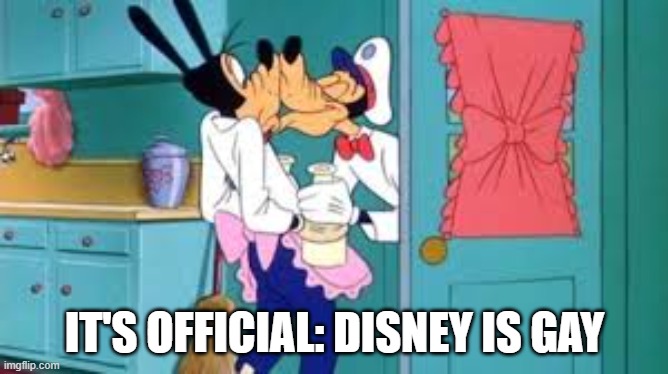 Gay Disney | IT'S OFFICIAL: DISNEY IS GAY | image tagged in disney,cartoons | made w/ Imgflip meme maker