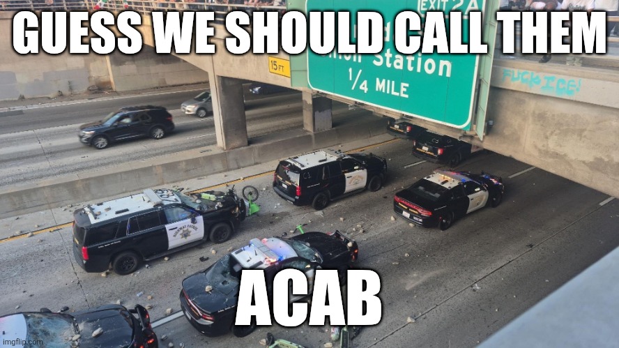 Call A C A B | GUESS WE SHOULD CALL THEM; ACAB | image tagged in police,political meme | made w/ Imgflip meme maker