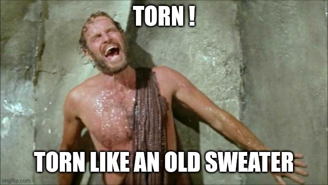 Torn | TORN ! TORN LIKE AN OLD SWEATER | image tagged in charlton heston | made w/ Imgflip meme maker