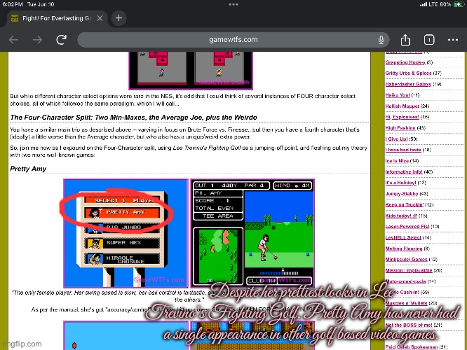 Pretty Amy (Nintendo) | Despite her prettiest looks in Lee Trevino’s Fighting Golf, Pretty Amy has never had a single appearance in other golf based video games. | image tagged in golf,video game,nintendo,nostalgia,girl,80s | made w/ Imgflip meme maker