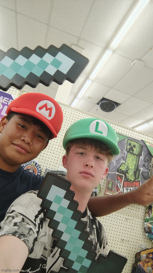 Mario n Luigi | image tagged in mario and luigi,mario,luigi,minecraft,diamond sword,video games | made w/ Imgflip meme maker