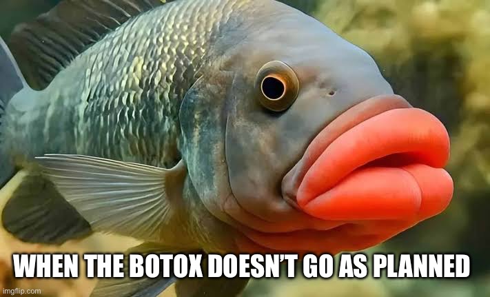 Oops | WHEN THE BOTOX DOESN’T GO AS PLANNED | image tagged in funny | made w/ Imgflip meme maker