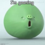angry birds pig Blank Meme Template