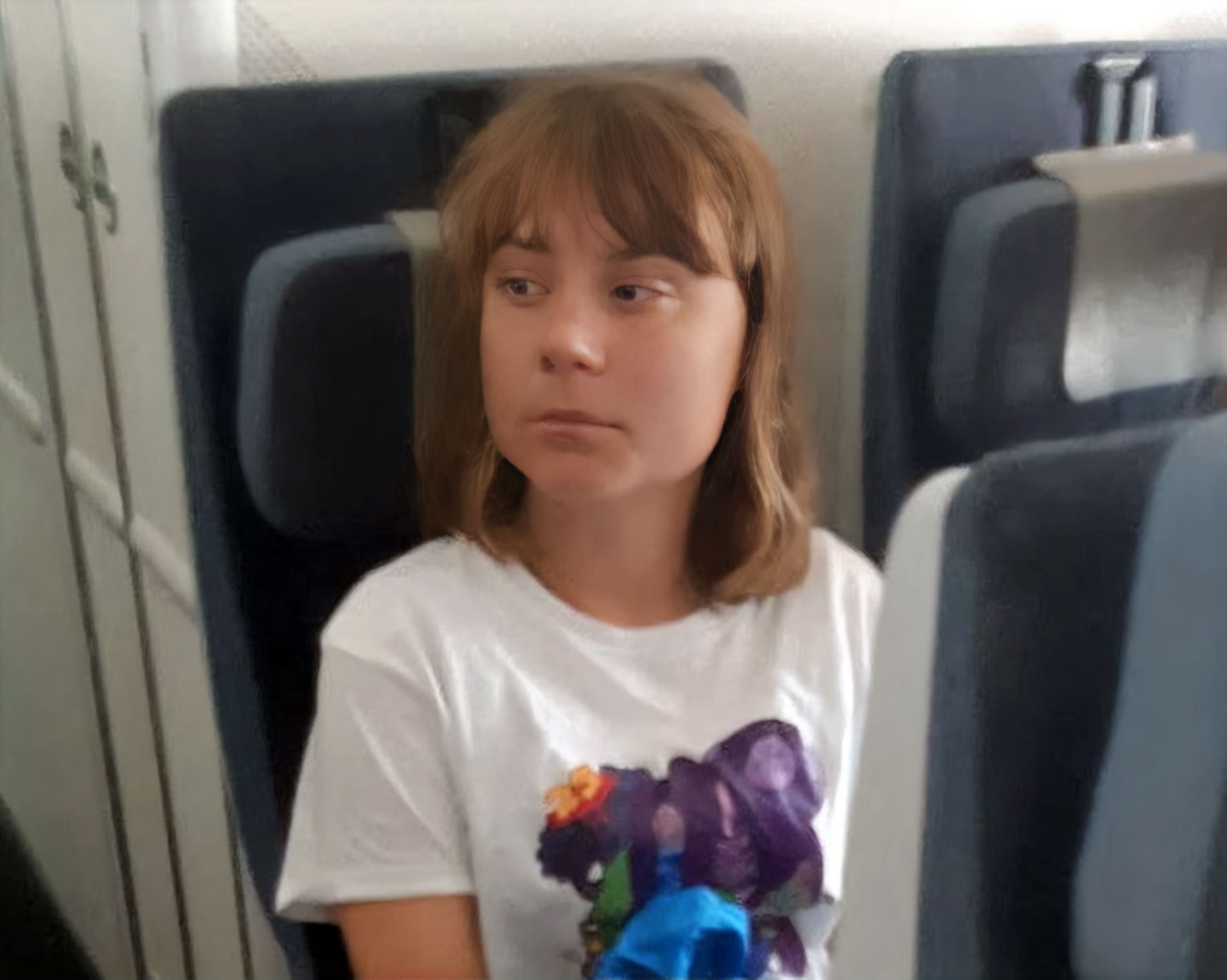 High Quality Greta Plane Blank Meme Template