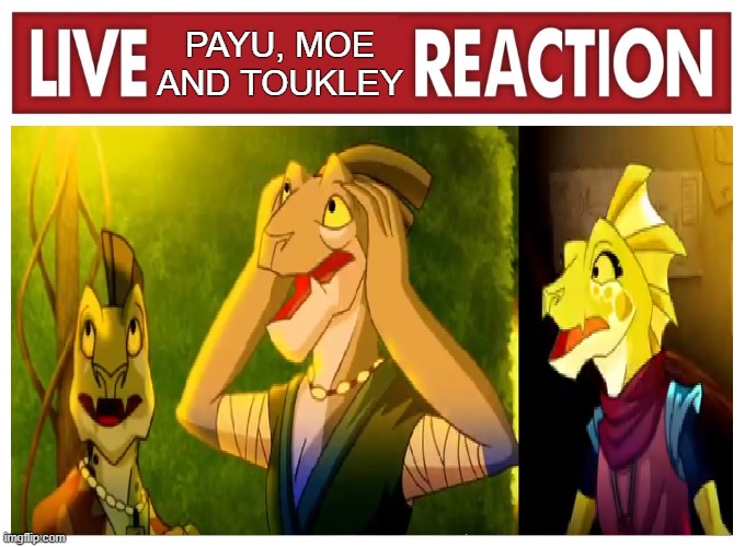 live payu, moe and toukley reaction | PAYU, MOE AND TOUKLEY | image tagged in live reaction,kulipari,wtf | made w/ Imgflip meme maker