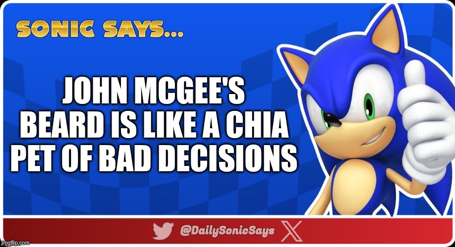 Sonic mentioned about John McGee | JOHN MCGEE'S BEARD IS LIKE A CHIA PET OF BAD DECISIONS | image tagged in sonic says v3 | made w/ Imgflip meme maker